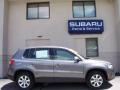 Alpine Grey Metallic - Tiguan S Photo No. 5