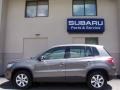 Alpine Grey Metallic - Tiguan S Photo No. 6