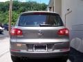 Alpine Grey Metallic - Tiguan S Photo No. 8