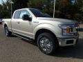 White Gold - F150 XLT SuperCab 4x4 Photo No. 8