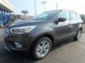 2018 Magnetic Ford Escape SEL 4WD  photo #7