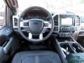 Ruby Red - F450 Super Duty Platinum Crew Cab 4x4 Photo No. 14