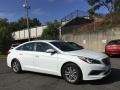 Quartz White Pearl - Sonata SE Photo No. 3