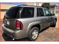 2009 Graystone Metallic Chevrolet TrailBlazer LT 4x4  photo #7