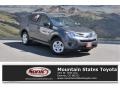 Magnetic Gray Metallic - RAV4 LE Photo No. 1