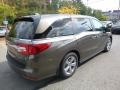 Pacific Pewter Metallic - Odyssey EX-L Photo No. 4