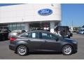 Magnetic - Focus SE Sedan Photo No. 2