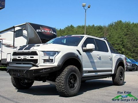 2017 Ford F150 Shelby BAJA Raptor SuperCrew 4x4 Data, Info and Specs