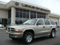 Medium Bronze Pearl 2001 Dodge Durango SLT 4x4