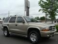 Medium Bronze Pearl - Durango SLT 4x4 Photo No. 3