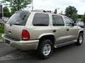Medium Bronze Pearl - Durango SLT 4x4 Photo No. 4