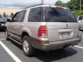 Silver Birch Metallic - Mountaineer Convenience AWD Photo No. 6