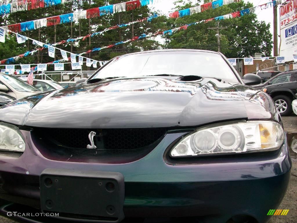 1996 Mustang SVT Cobra Coupe - Mystic Chromaflair / Black photo #6