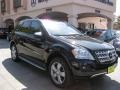 Black - ML 350 Photo No. 1