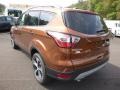 2017 Canyon Ridge Ford Escape SE 4WD  photo #6