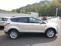 White Gold - Escape SE 4WD Photo No. 1