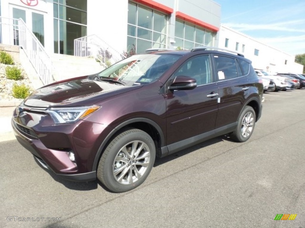 Black Current Metallic 2018 Toyota RAV4 Limited AWD Exterior Photo #122952826