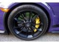 2016 Porsche 911 GT3 RS Wheel and Tire Photo