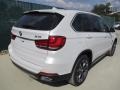 Mineral White Metallic - X5 xDrive35i Photo No. 3