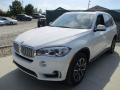Alpine White - X5 xDrive35i Photo No. 8