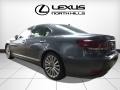 Nebula Gray Pearl - LS 460 AWD Photo No. 3