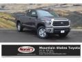 Magnetic Gray Metallic - Tundra SR5 Double Cab 4x4 Photo No. 1