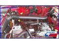 1998 Flame Red Jeep Wrangler Sport 4x4  photo #15