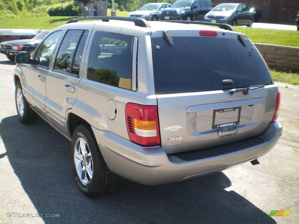 2002 Grand Cherokee Limited 4x4 - Silverstone Metallic / Dark Slate Gray photo #10