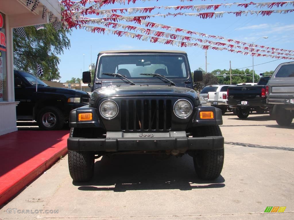 2002 Wrangler SE 4x4 - Black / Camel Beige photo #6