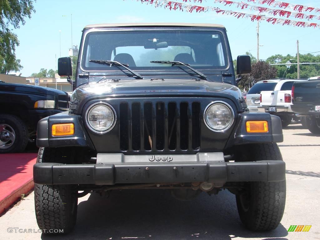 2002 Wrangler SE 4x4 - Black / Camel Beige photo #7