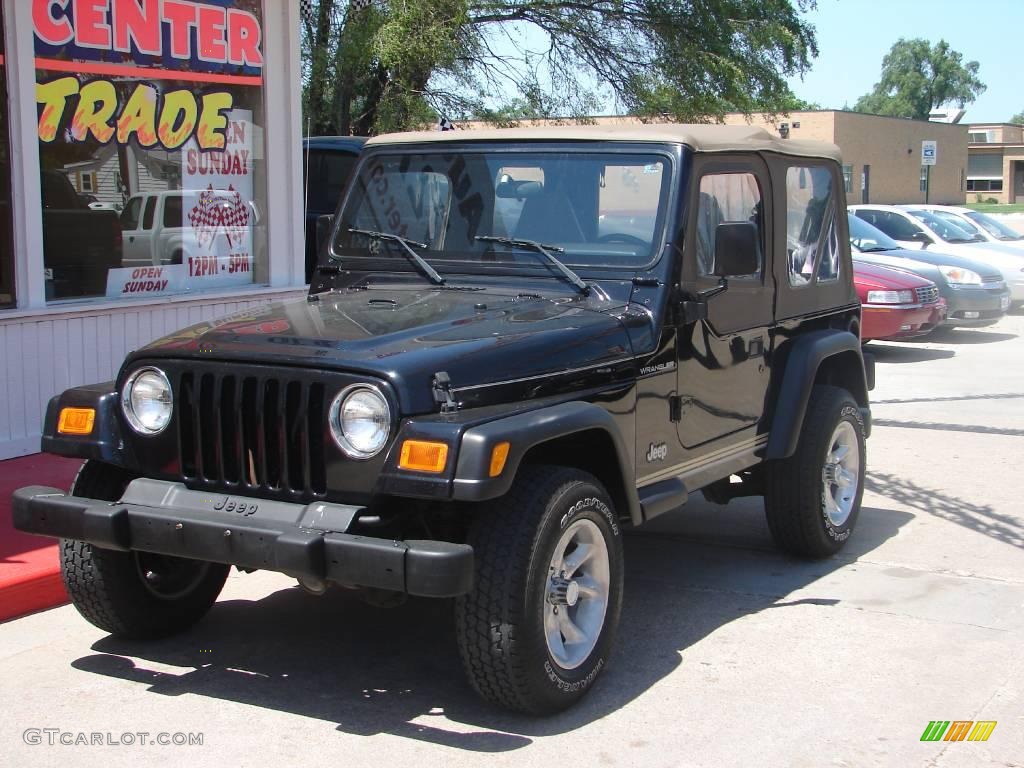 2002 Wrangler SE 4x4 - Black / Camel Beige photo #8