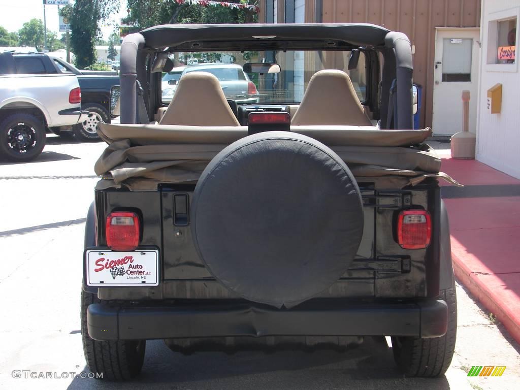 2002 Wrangler SE 4x4 - Black / Camel Beige photo #18