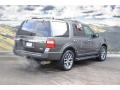 Magnetic Metallic - Expedition XLT 4x4 Photo No. 3