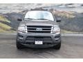 Magnetic Metallic - Expedition XLT 4x4 Photo No. 4