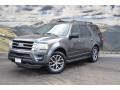 Magnetic Metallic - Expedition XLT 4x4 Photo No. 5