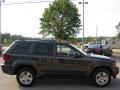 Dark Khaki Pearl - Grand Cherokee Laredo Photo No. 5
