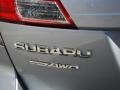Ice Silver Metallic - Outback 2.5i Premium Photo No. 10