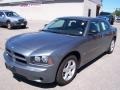 Silver Steel Metallic - Charger SE Photo No. 1