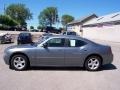 Silver Steel Metallic - Charger SE Photo No. 7