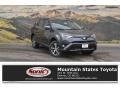 2018 Magnetic Gray Metallic Toyota RAV4 XLE AWD  photo #1