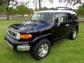 Black Diamond - FJ Cruiser 4WD Photo No. 1