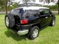 Black Diamond - FJ Cruiser 4WD Photo No. 9