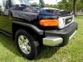 Black Diamond - FJ Cruiser 4WD Photo No. 22