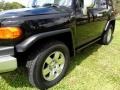 Black Diamond - FJ Cruiser 4WD Photo No. 28