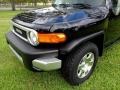 Black Diamond - FJ Cruiser 4WD Photo No. 44