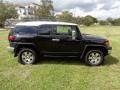 Black Diamond - FJ Cruiser 4WD Photo No. 55