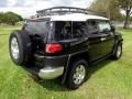 Black Diamond - FJ Cruiser 4WD Photo No. 64