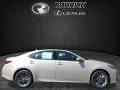 Satin Cashmere Metallic - ES 350 Photo No. 2