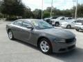 Destroyer Gray - Charger SXT Photo No. 6