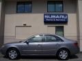 Steel Gray - Sonata GLS Photo No. 6
